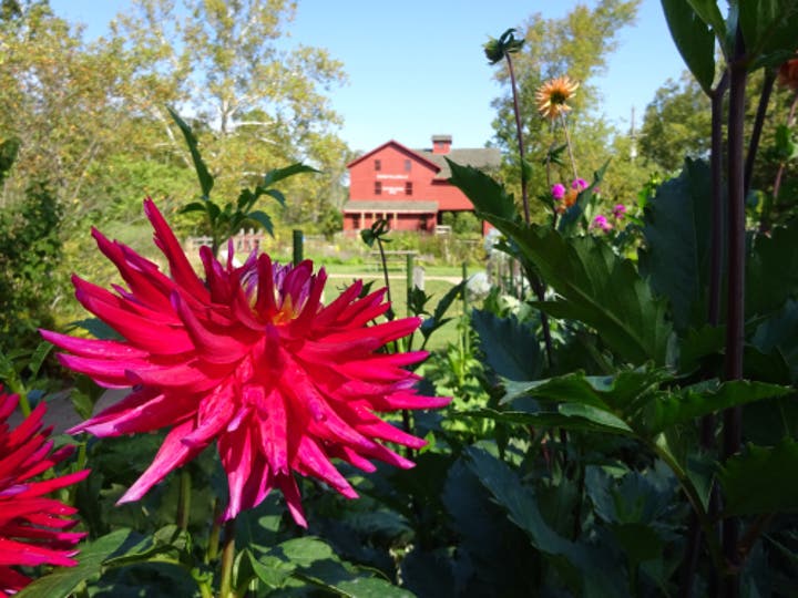 Elkhart, Indiana knows to call on SERVPRO® for 24-hour emergency service when you need construction services, storm cleanup, fire restoration, mold remediation, or a water damage restoration company near you. 