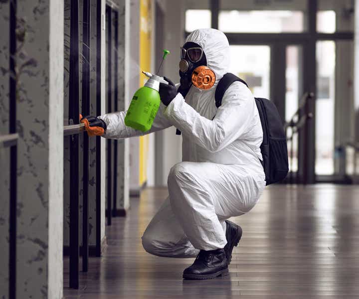 Mold Removal vs. Remediation
