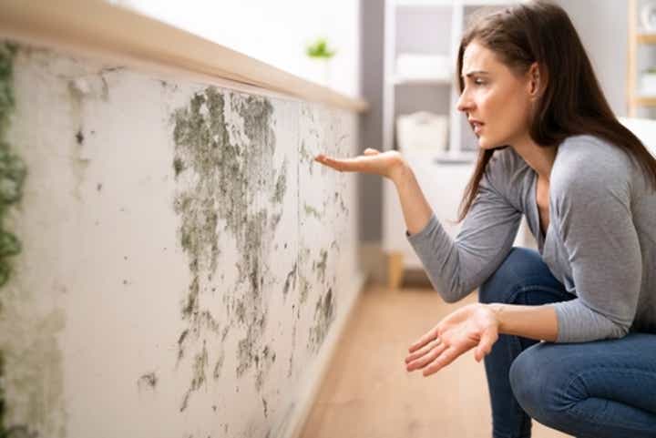 How to Know if There is Mold in Your Walls