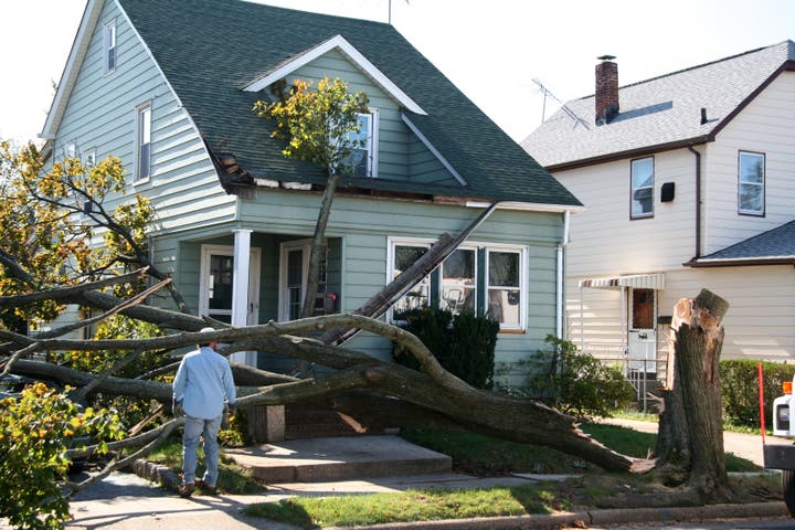 Storm Damage and Construction Services
